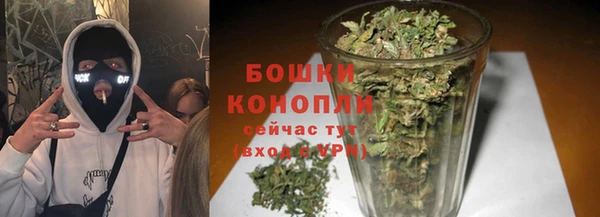 дурь Арсеньев