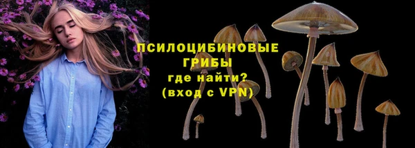 мяу мяу мука Аркадак