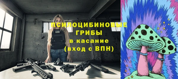 дурь Арсеньев