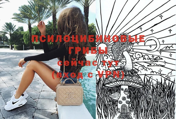 дурь Арсеньев