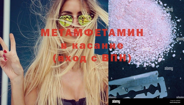 мяу мяу мука Аркадак