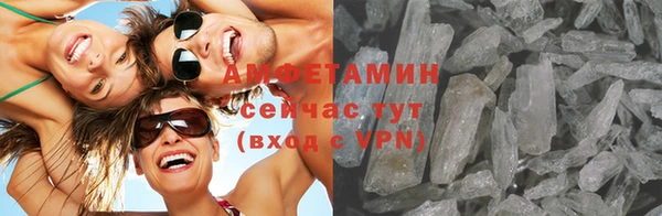 мяу мяу мука Аркадак